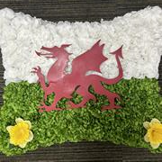 Welsh flag pillow
