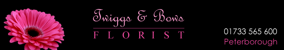 Twiggs & Bows Florist