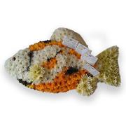 Koi Fish Floral Tribute