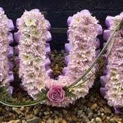  Lilac Pink Letters