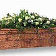  Coffin Spray loose and more foliage 