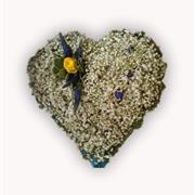 Baby&#39;s Breath Heart