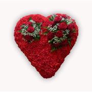 Carnation Massed Heart