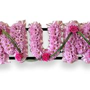 Mum Lilac Love