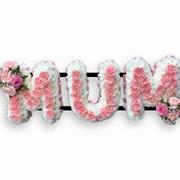 MUM Carnation Centre