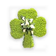 Shamrock Floral Tribute B