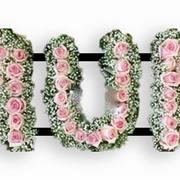  Roses &amp; Gyp
