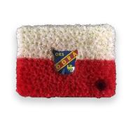 Polish Flag football Club B