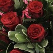  Roses simply wrapped 