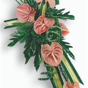 Anthurium Spray