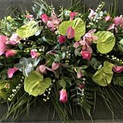 Orchid casket spray 