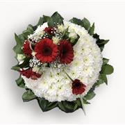 Gerbera  round  based Pad