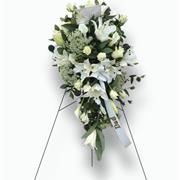 Display on Stand
