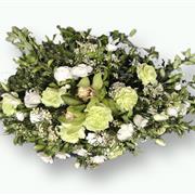 Lime &amp; White Spray