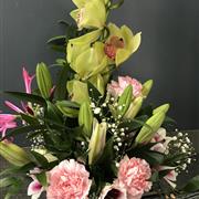 Orchid and lilly display