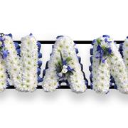 Nan Navy blue &amp; Massed white