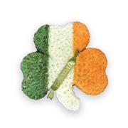 Shamrock flag