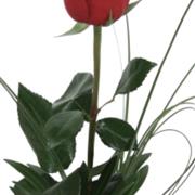 Single Rose foliage and ribbon