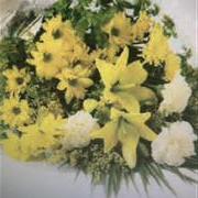 SUNSHINE SHEAF SH008