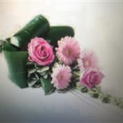 ROSE AND GERMINI SH006