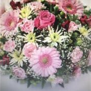PINK POSY HCP007