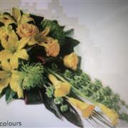 SP004 MODERN DISPLAY