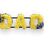 Dad Blue &amp; Massed Yellow 