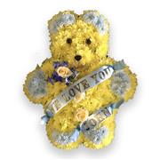 teddy yellow with sash