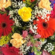  Tear Drop small Spray florist choice