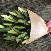 Just lilies wrapped