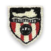 Sunderland football badge