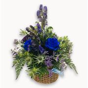 Blue &amp; Purple Basket