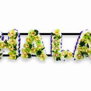  Orchid lettering
