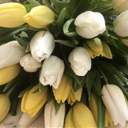 Just tulip handtied 