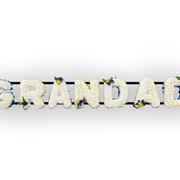 Grandad Yellow &amp; Blue