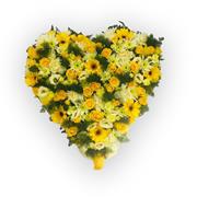 Heart of Gold