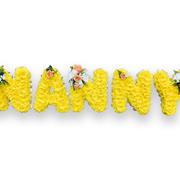 Nanny Golden Tribute