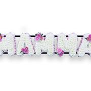 Mamma Tribute