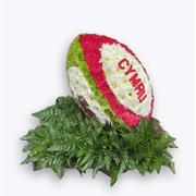 3D Rugby Ball