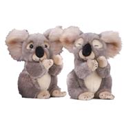 Cuddly Koala