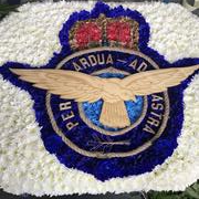 RAF Eagle tribute