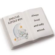 Boy Book Moon Bear