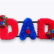 Crystal Palace Dad