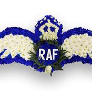 RAF Badge