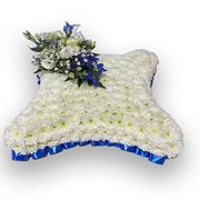 Posh Cushion