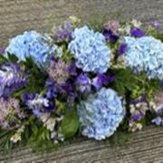 Blue is the colour