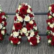 All Rose
