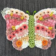 Butterfly B