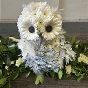 Snowy owl