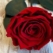 Make your rose Bouquet 